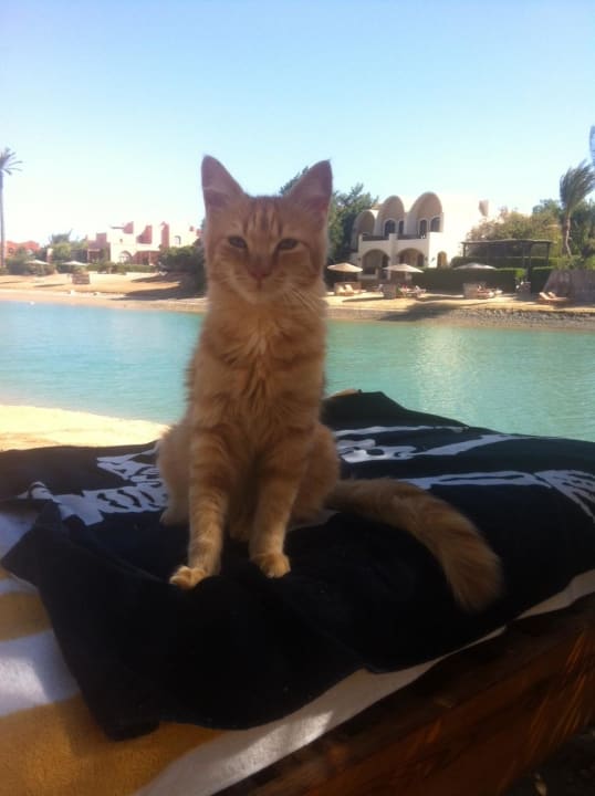 Humpi Dawar El Omda - Adults only  (Im Umbau/Renovierung)