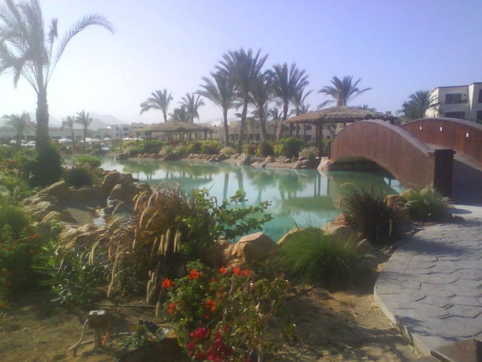 Gartenanlage Regency Plaza Aqua Park & Spa