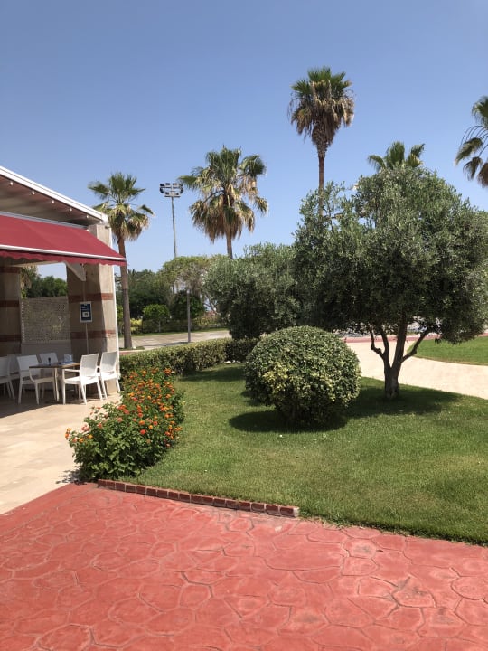 Gartenanlage Hotel Miracle Resort