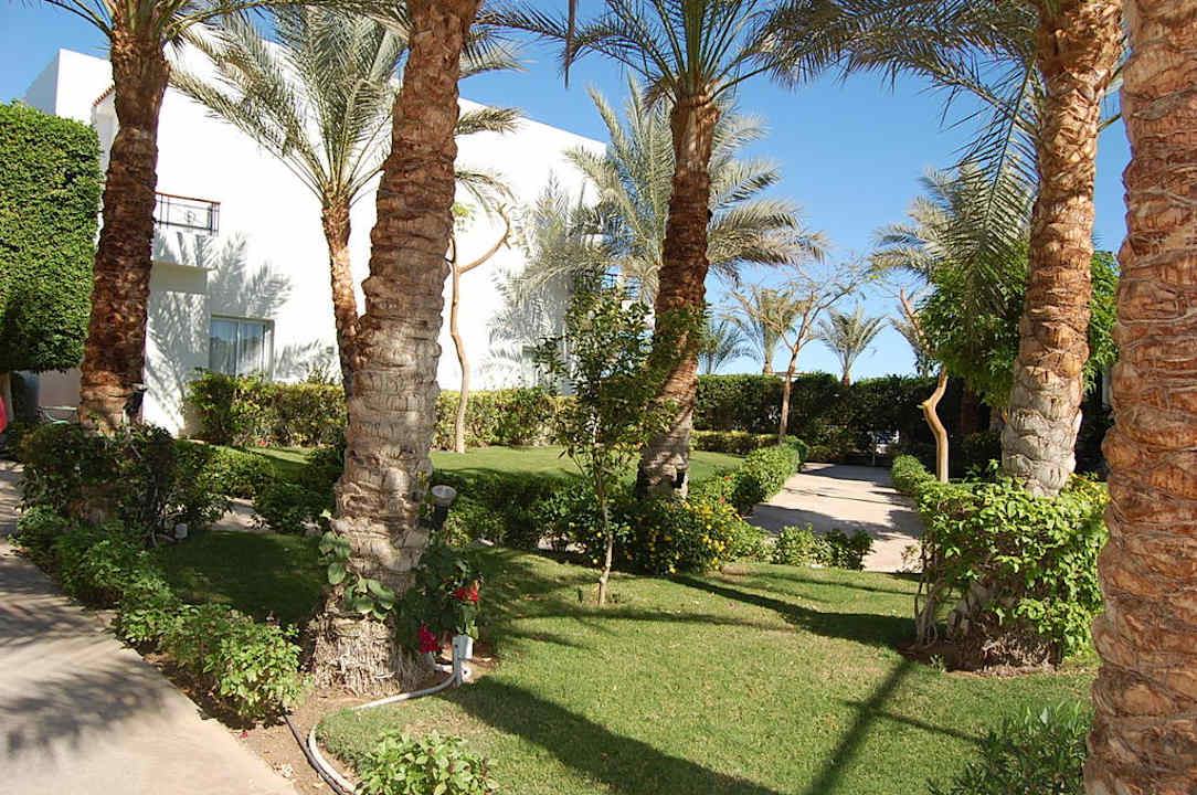 Iberotel club fanara JAZ Fanara Resort