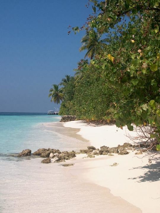 Truaumhafter Strand auf Vilamendhoo Vilamendhoo Island Resort & Spa