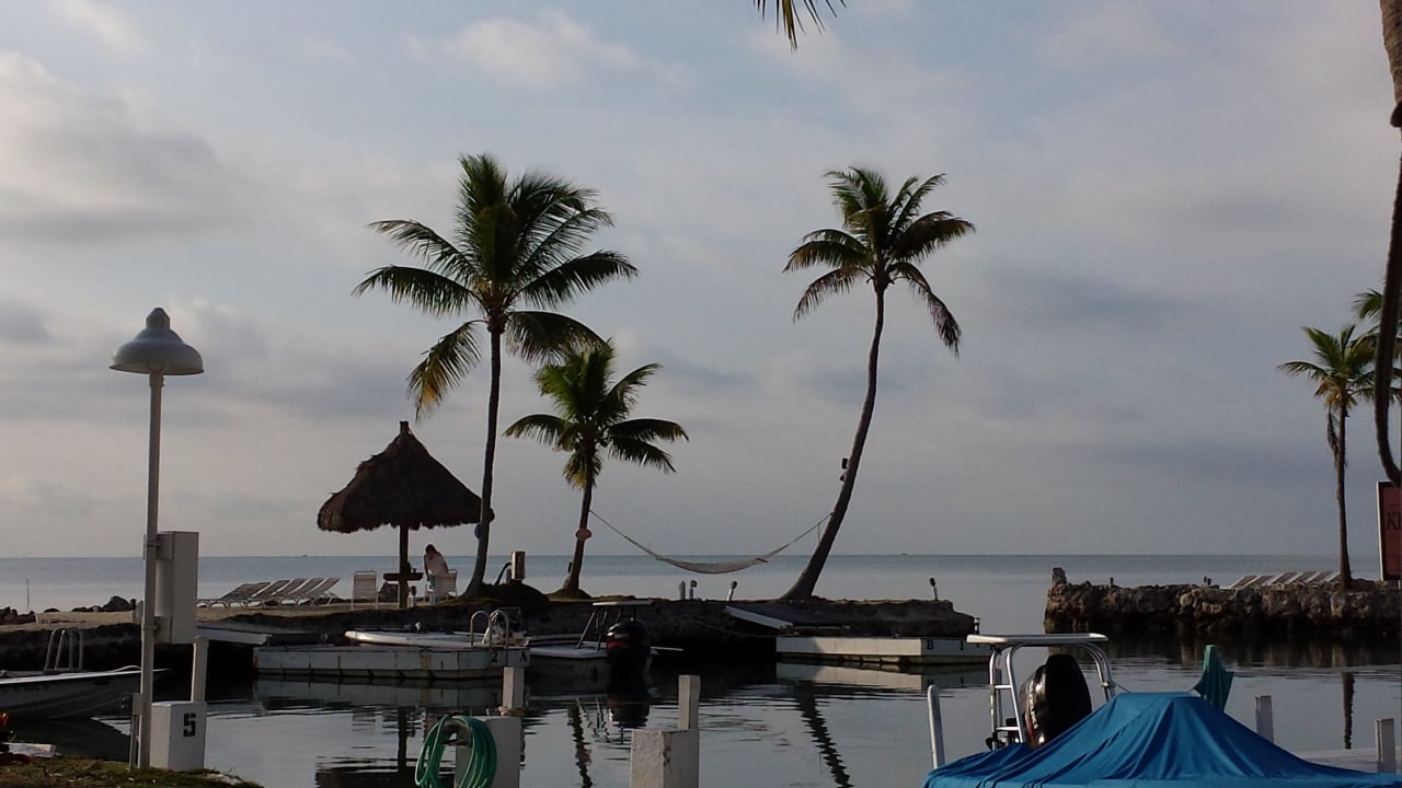 Hängematte direkt am Meer Hotel Chesapeake Resort