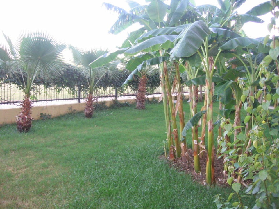 Ausblick von unserem Balkon, Familienzimmer Belek Beach Resort Hotel