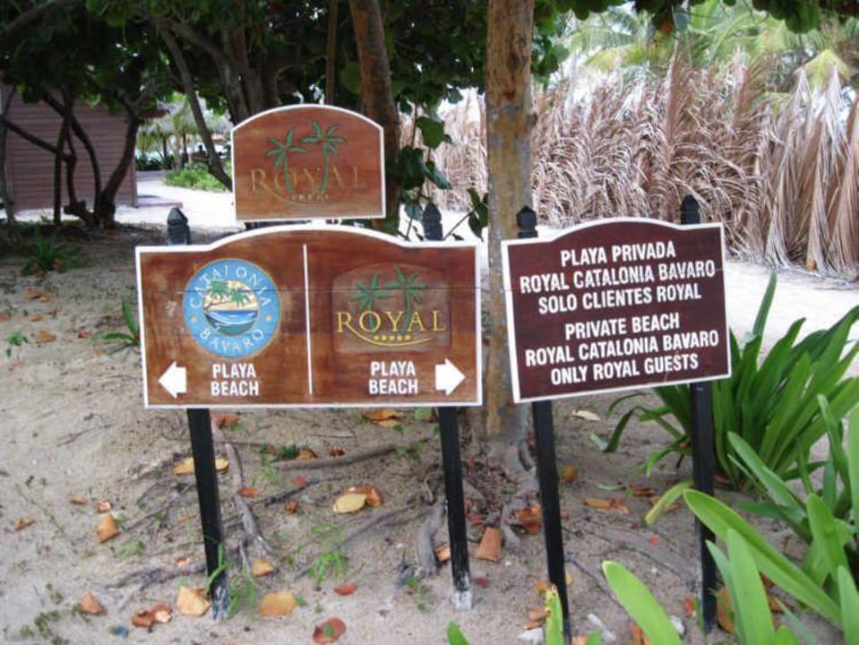 Royalstarnd Catalonia Royal Bavaro - Adults only