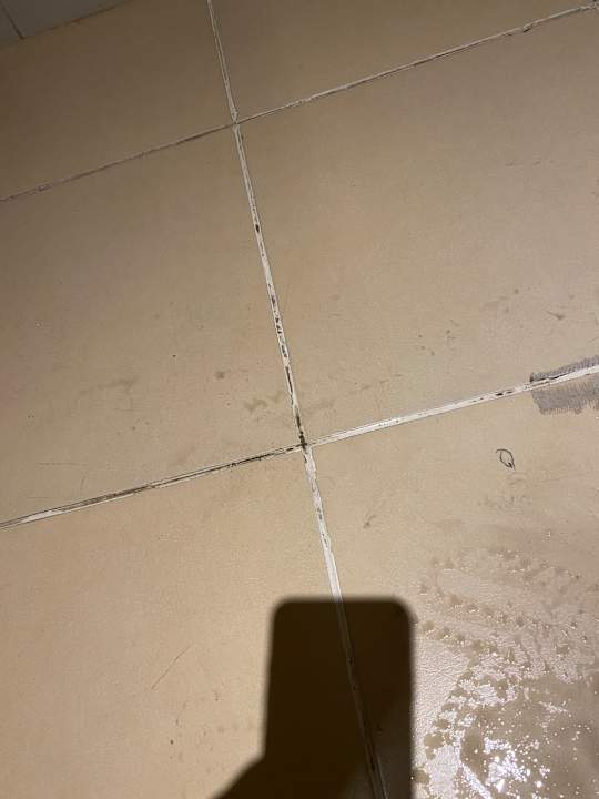 Zimmer Royal Star Beach Resort