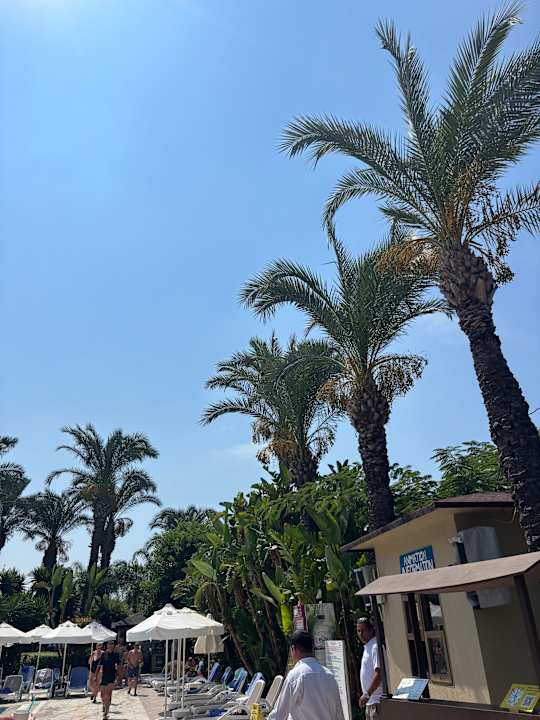 Pool Sunis Kumköy Beach Resort Hotel & Spa