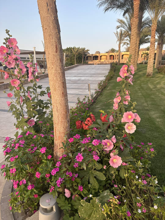 Gartenanlage Hilton Hurghada Plaza