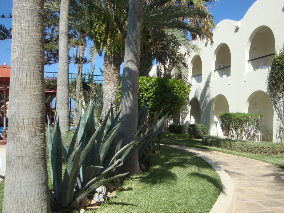 Garten Sentido Djerba Beach