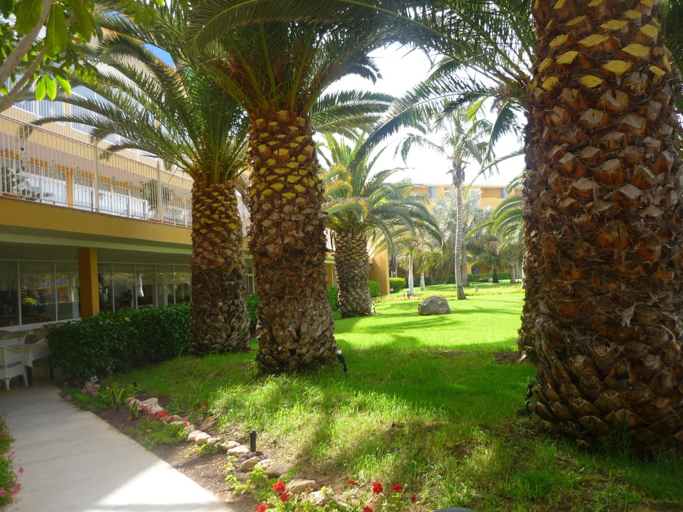 Durch den Garten zum Restaurant Club Hotel Drago Park