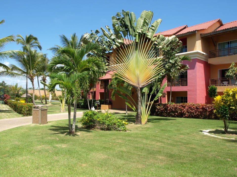 Palmen & Garten im PCP Punta Cana Princess All Suites Resort & Spa