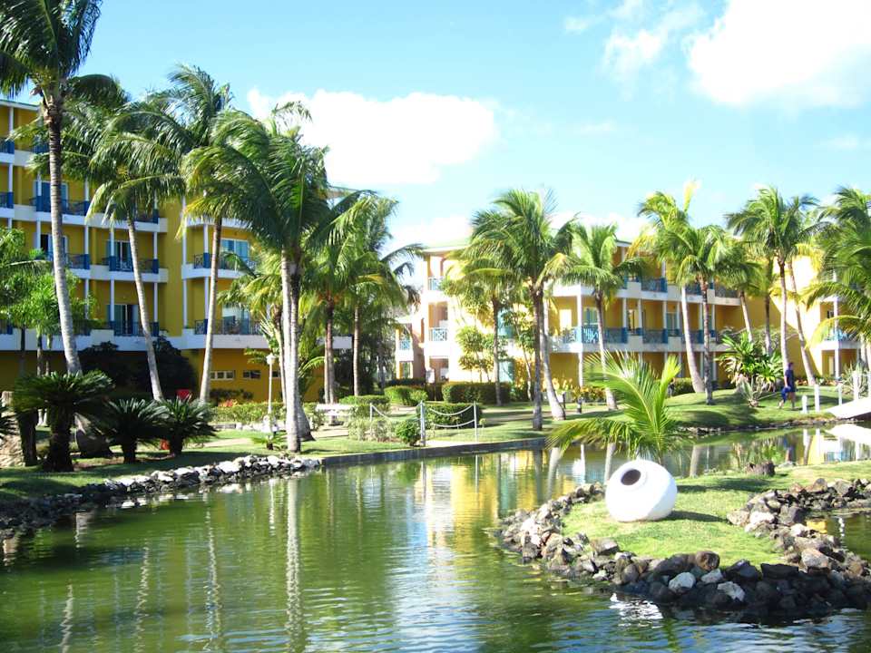 Teichanlage mit 2 Haien, leider voll Algen Melia Las Antillas - Adults only