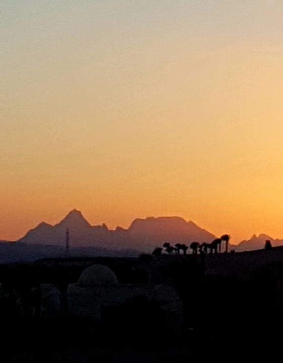 Ausblick JAZ Neo Saraya Palms