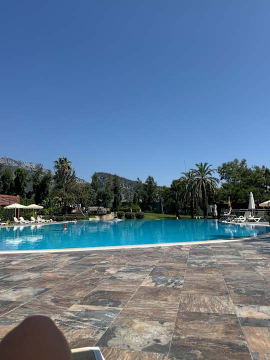 Pool TUI MAGIC LIFE Beldibi +16