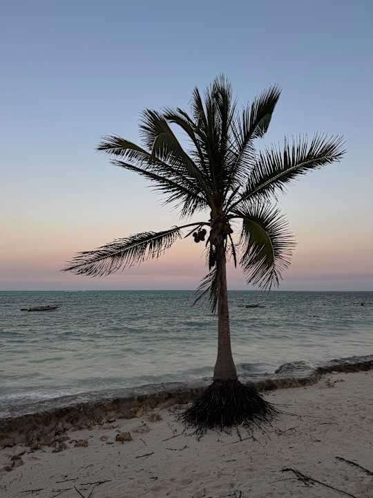 Ausblick Neptune Pwani Beach Resort & Spa
