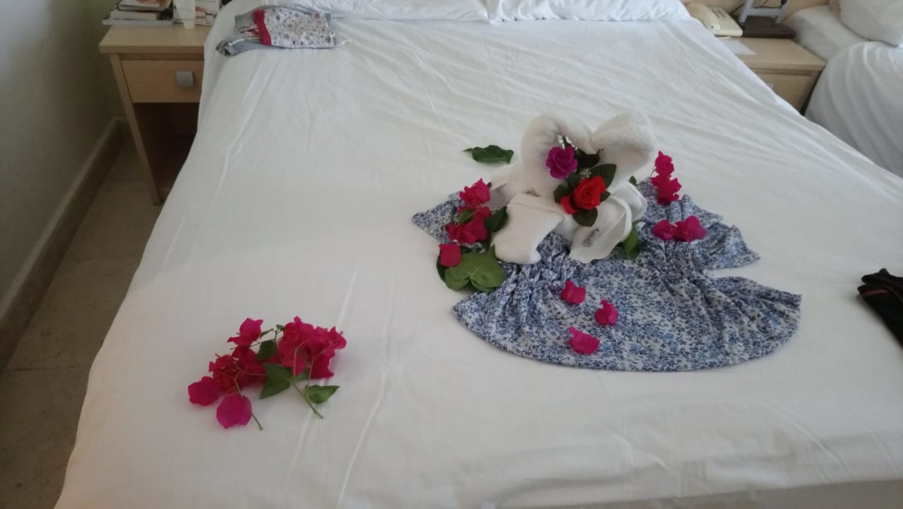 Zimmer PALOMA Perissia