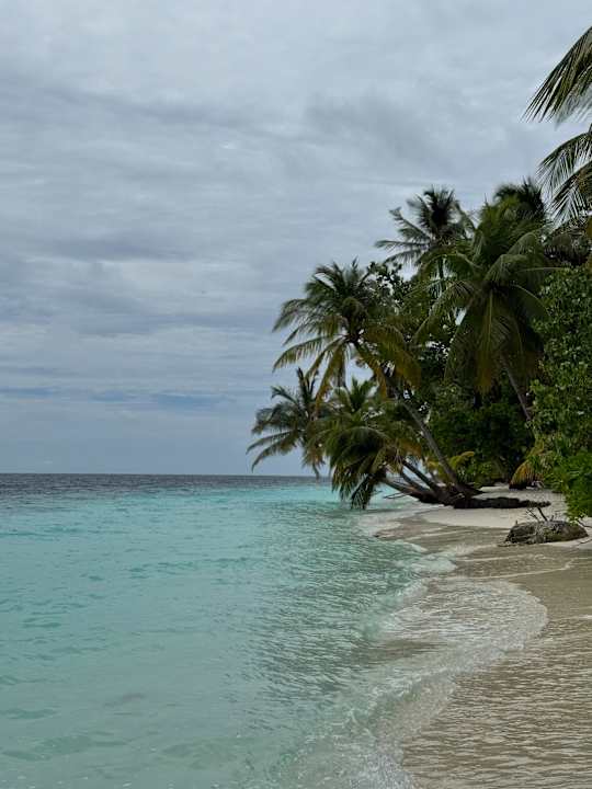 Ausblick Vilamendhoo Island Resort & Spa