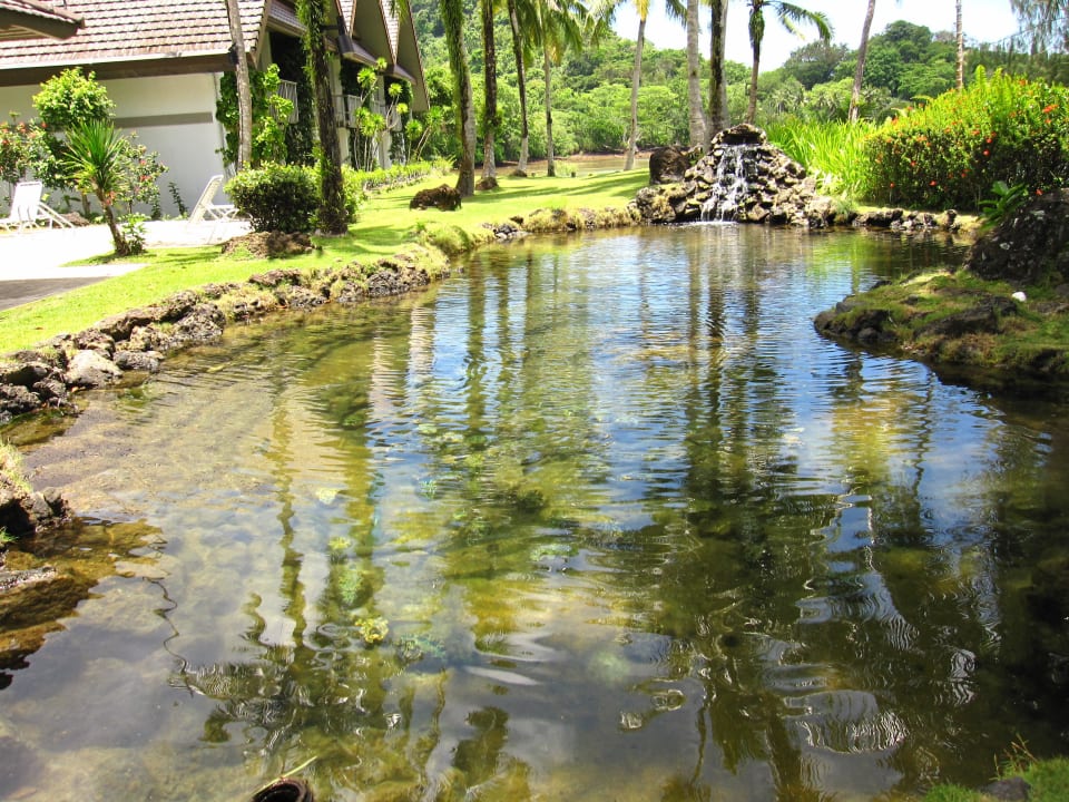 Teich Hotel Palau Pacific Resort