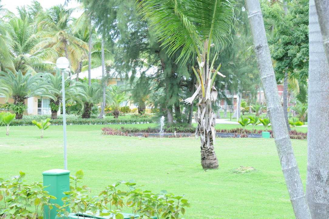 Blick zum Pool Grand Palladium Select Bávaro Resort & Spa