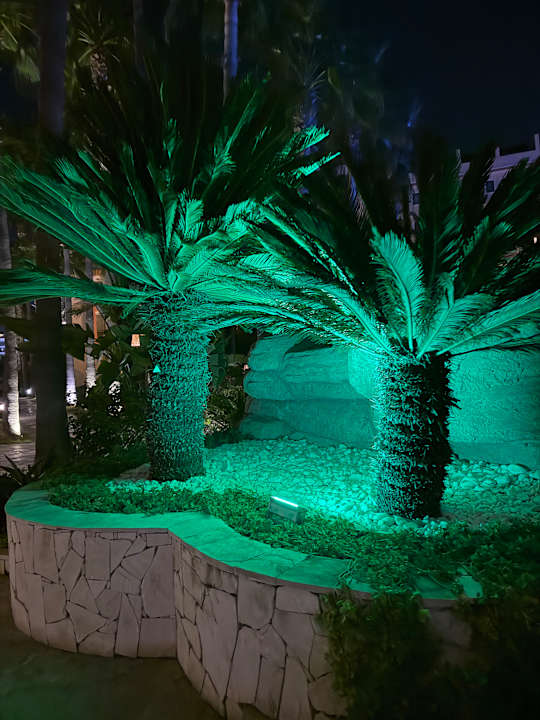 Außenansicht Miramare Queen Hotel