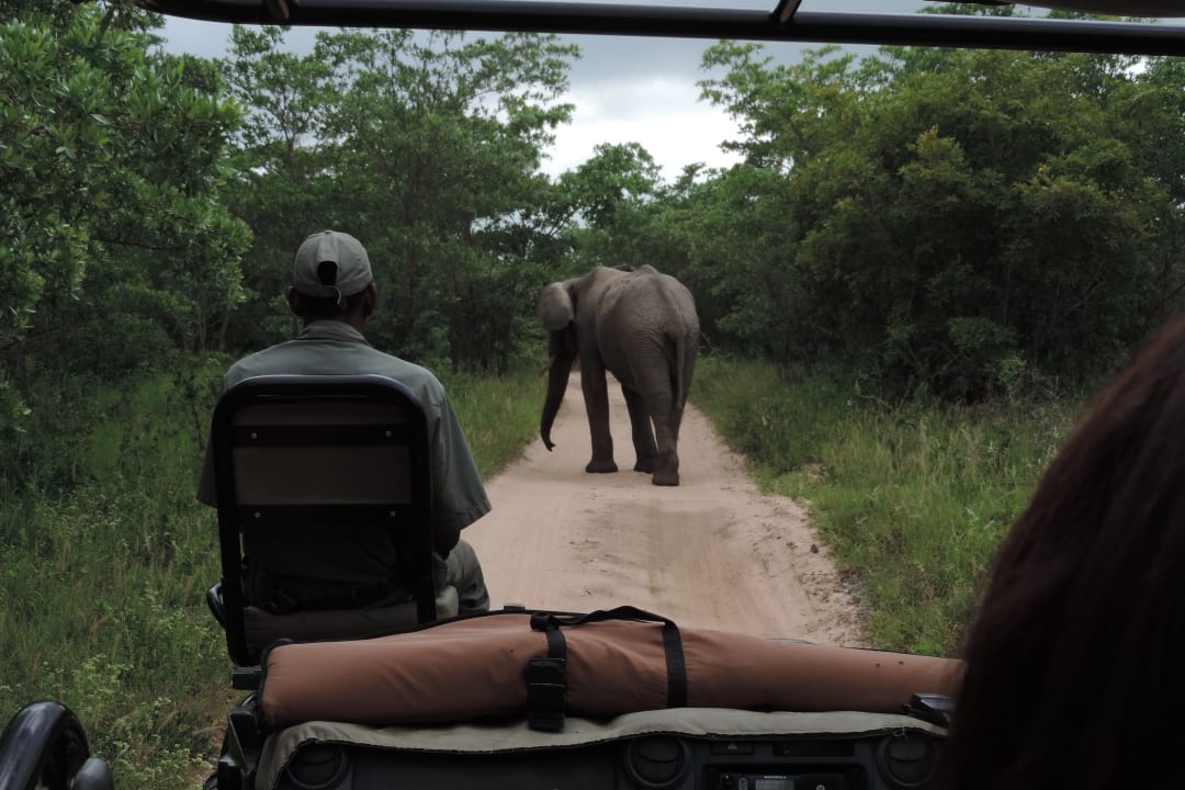 Sport & Freizeit Inyati Game Lodge