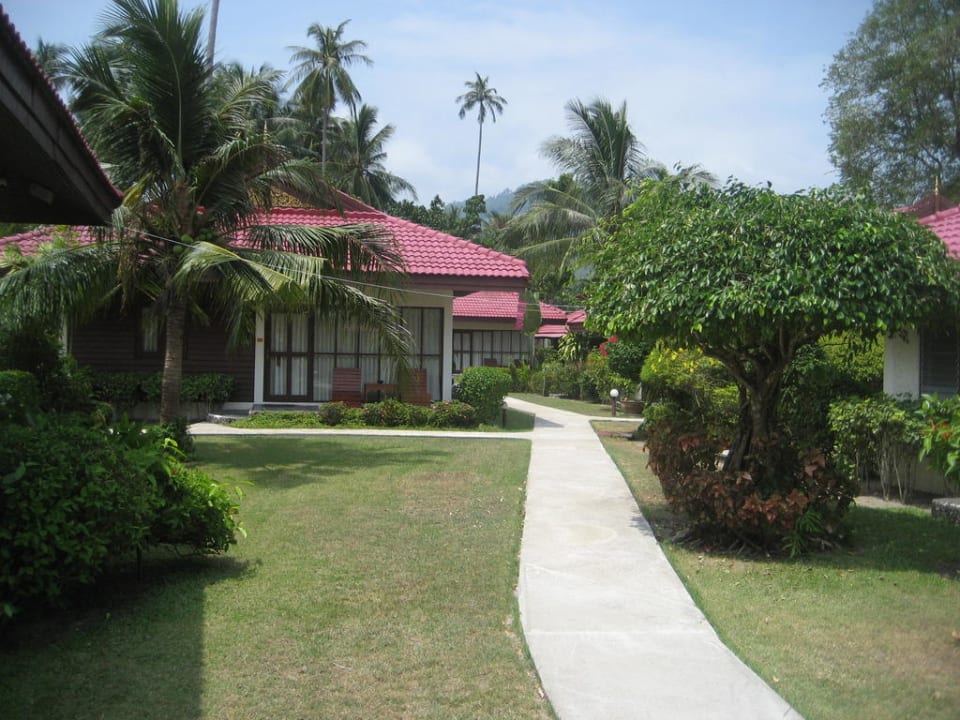 Gartenanlage mit Bungalow Viva Vacation Resort