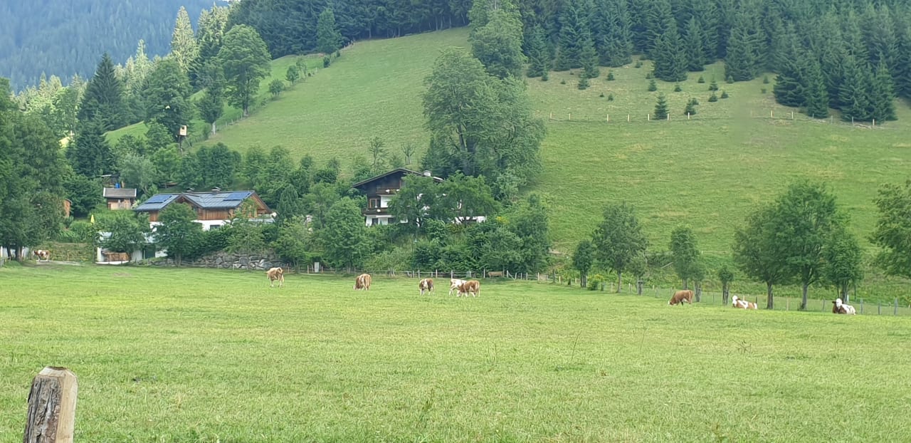 Ausblick RESL RESORT