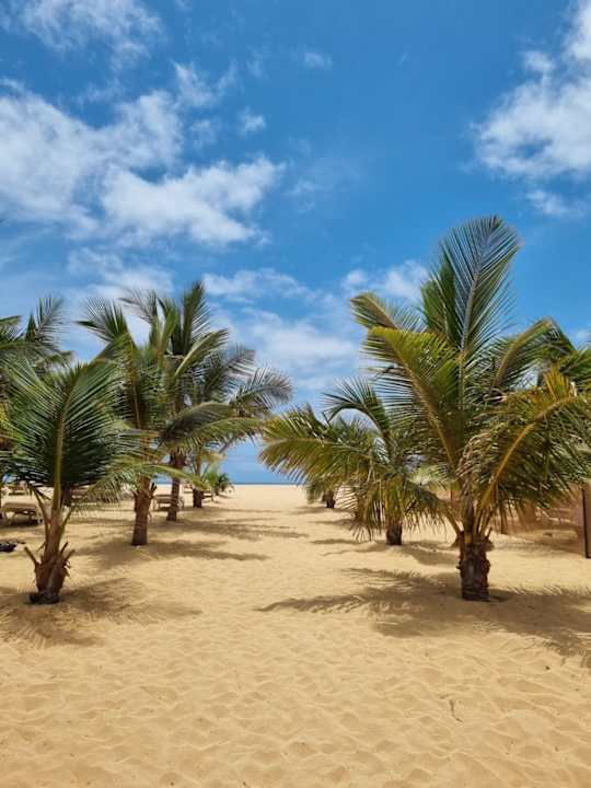 Strand Hotel Riu Touareg