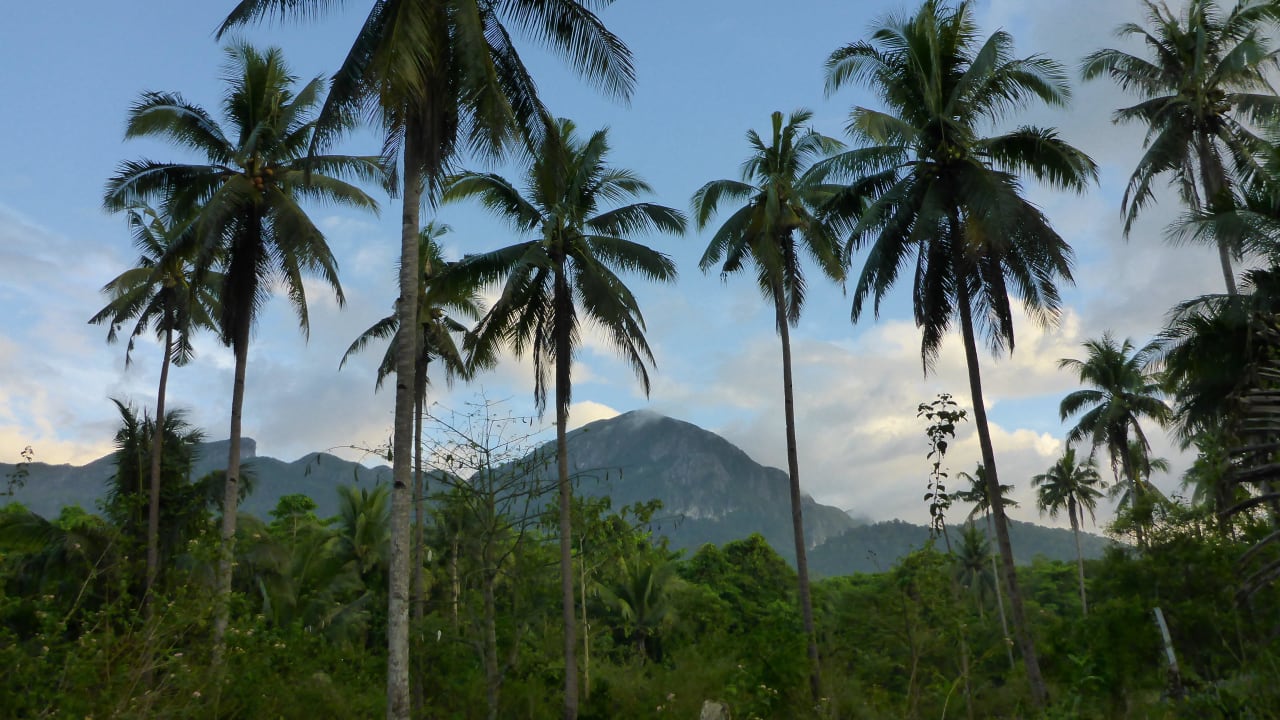 Hotel Sheridan Beach Resort Hotel Sheridan Beach Resort