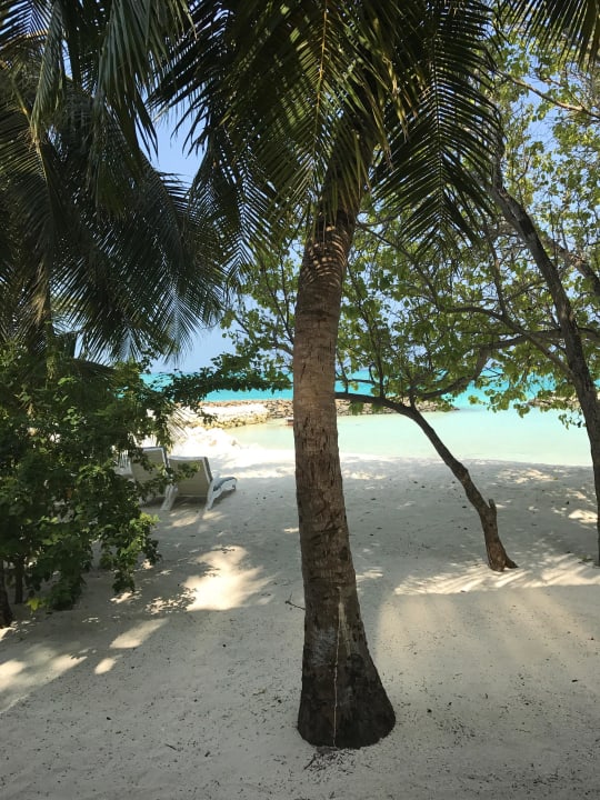 Zimmer 383 Summer Island Maldives