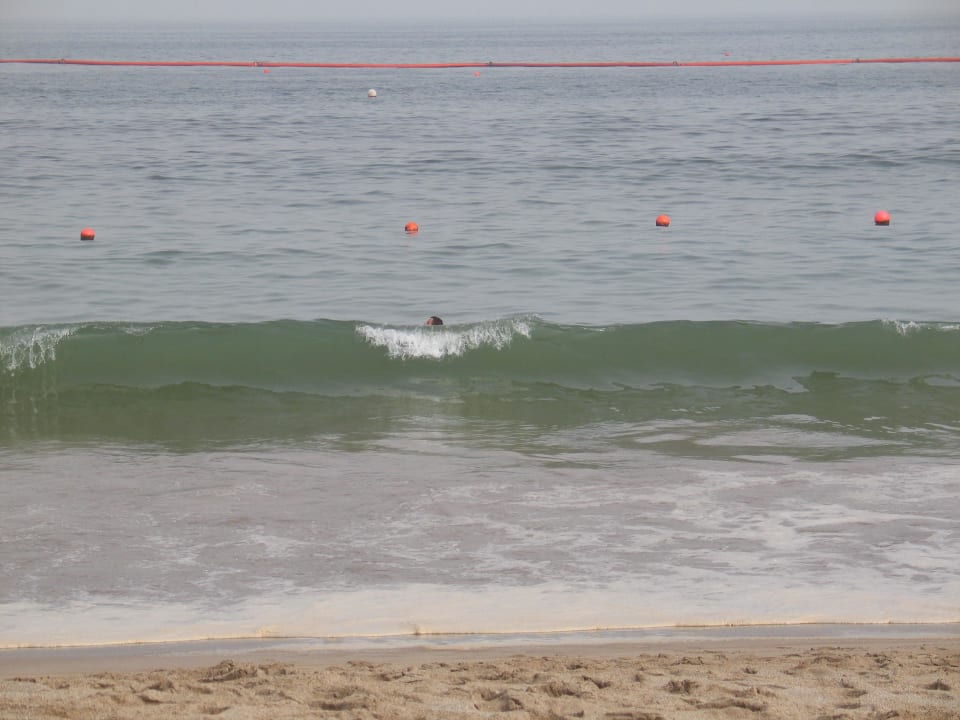 Wellen Hotel Le Meridien Al Aqah Beach Resort