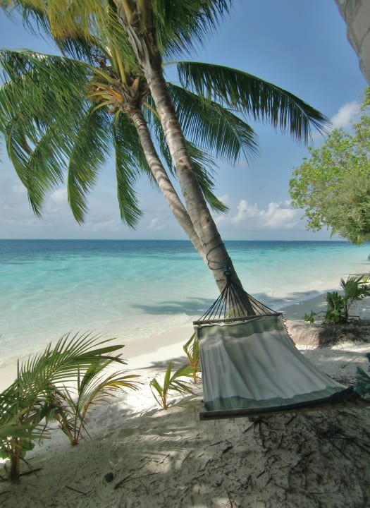 Abreisen fällt schwer! Vilamendhoo Island Resort & Spa