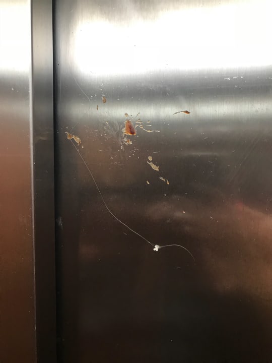 Lobby Hotel Riu Republica - Adults only