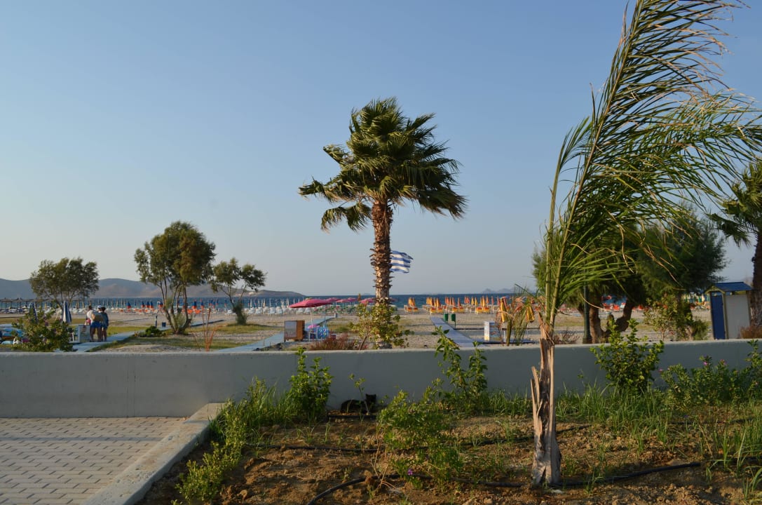 Blick zum Strand ananea Kos