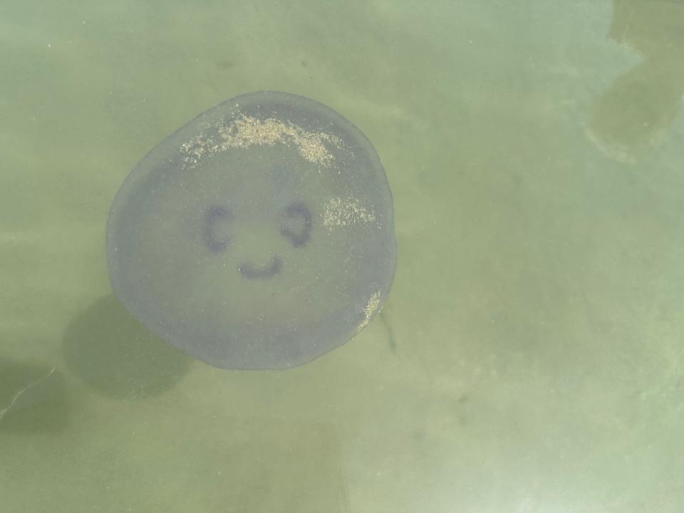 Strand Palm Royale Resort - Soma Bay