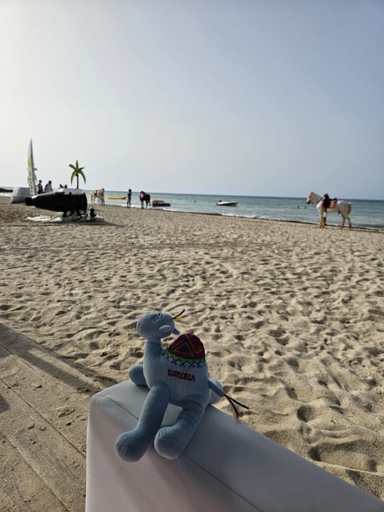 Strand Welcome Meridiana Djerba Hotel