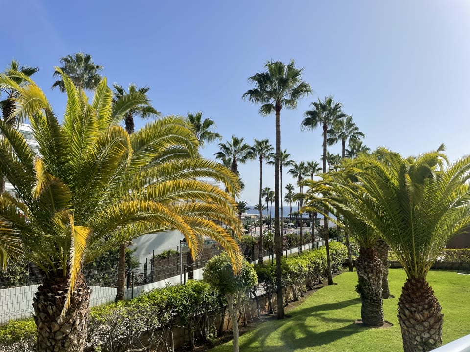 Gartenanlage Hotel Riu Palace Tenerife