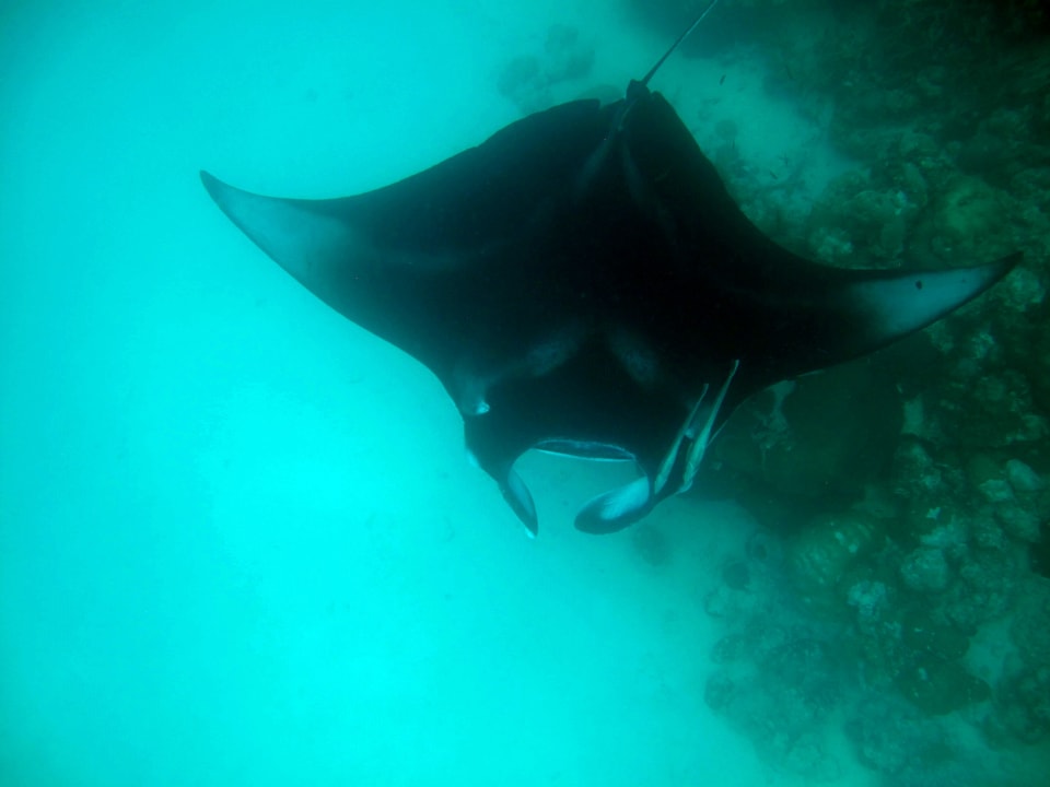 Sonstiges Safari Island Maldives