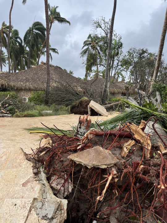 Gartenanlage Hotel Viva Dominicus Beach by Wyndham - All Inclusive Resort