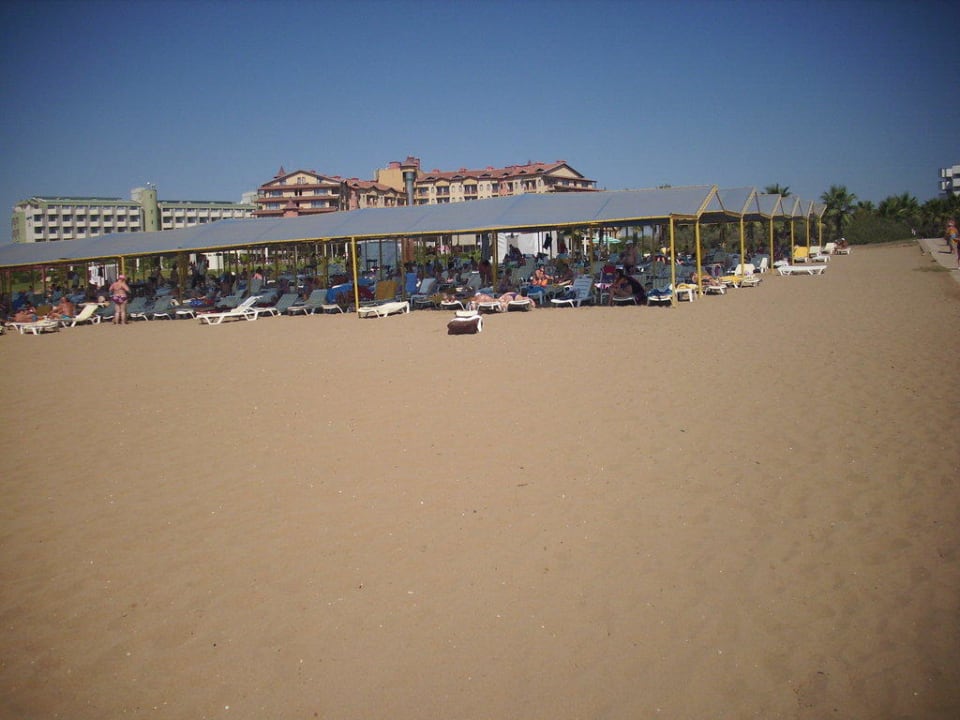 Hotel eigener Strand Hotel Orfeus Park