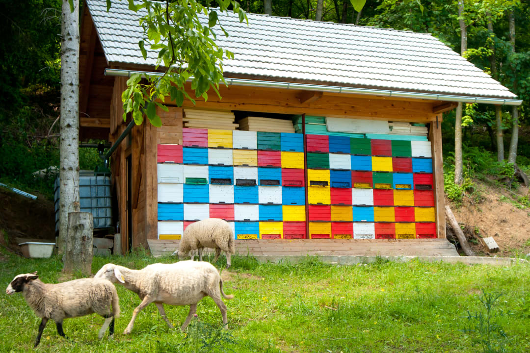 Sport & Freizeit Camping Podzemelj by Kolpa River