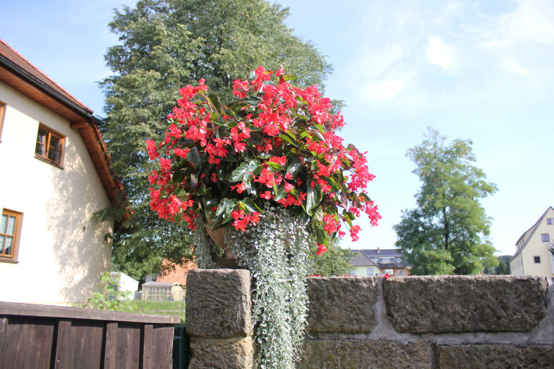 Außenansicht Hotel-Pension Altjessen 57