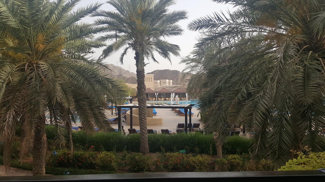 Ausblick Miramar Al Aqah Beach Resort