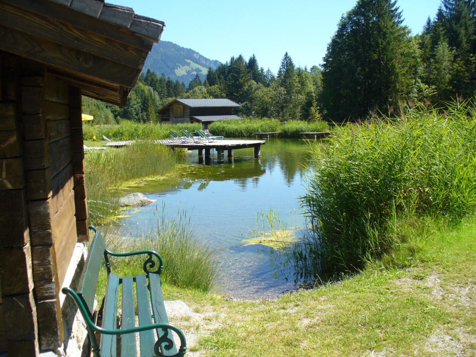 Schwimmteich im Garten Hotel Jagdschlössl