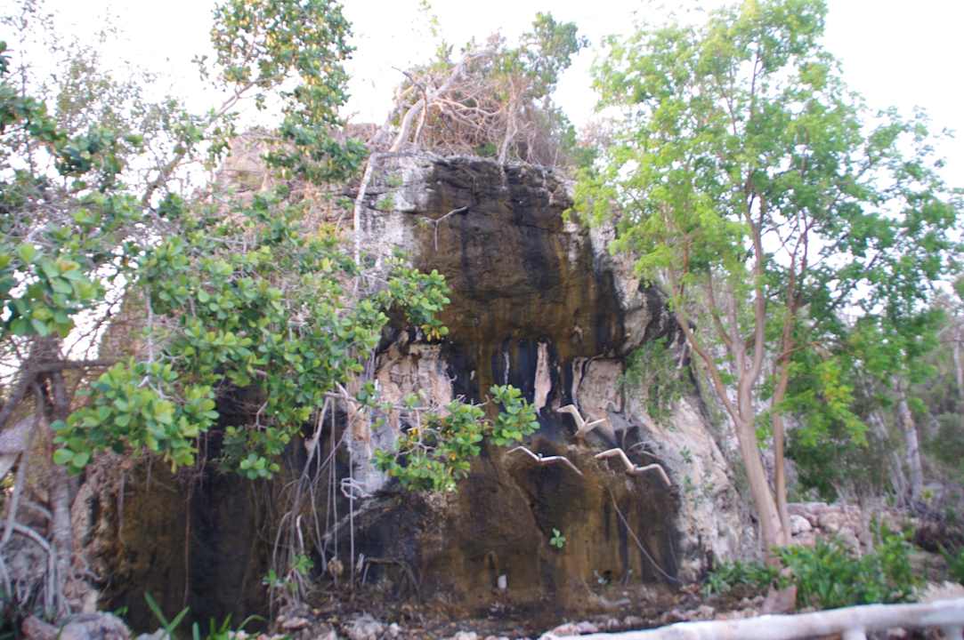Felsen am Poolbereich Paradisus Rio de Oro Resort & Spa - Adults only