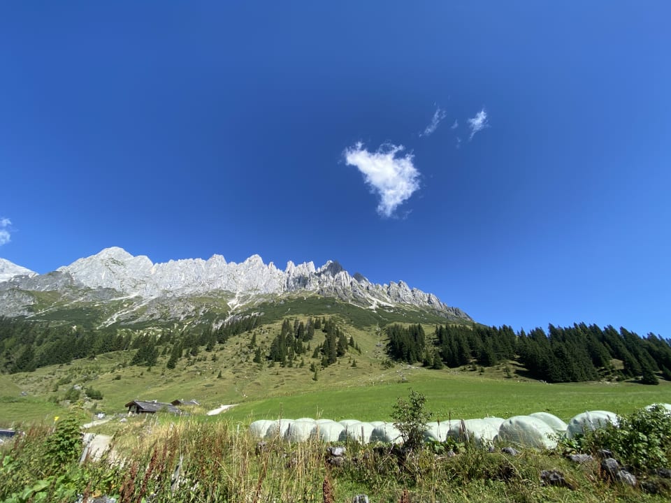 Ausblick Das Grünholz Aparthotel