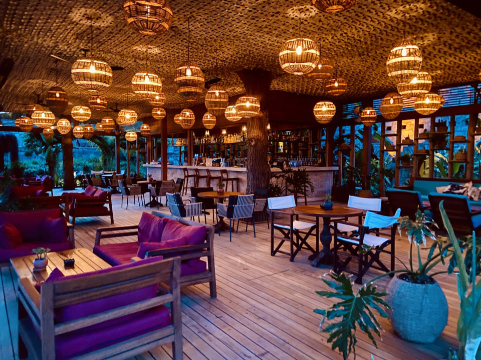 Gastro Arum Barut Collection