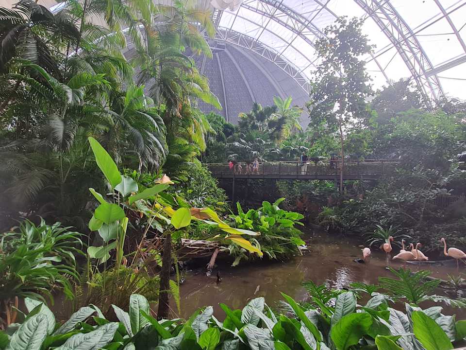 Gartenanlage Tropical Islands Resort