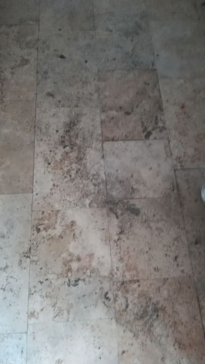 Zimmer Greenwood Kemer Resort