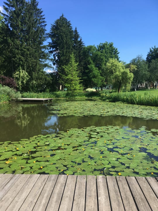 Gartenanlage Wilfinger Bio Thermen Hotel
