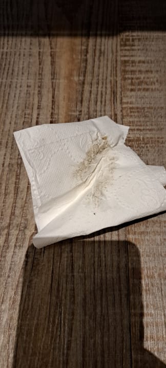 Zimmer Garner Hotel Vienna